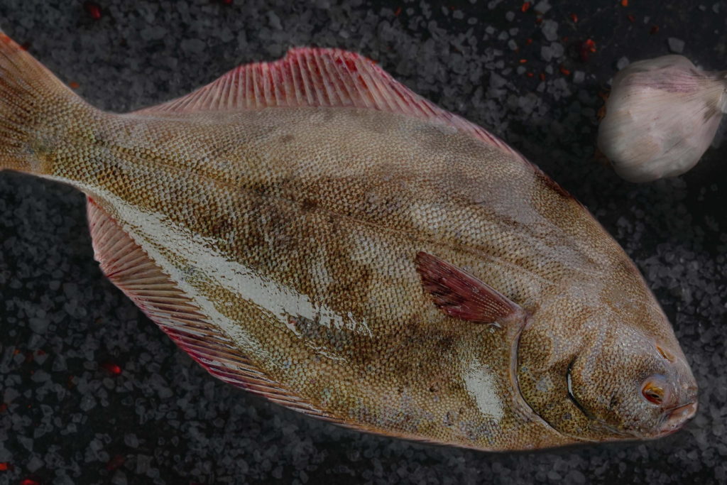 Fish, NZ Sand Flounder Whole Gut, 10kg average 220-250g, 45-47 fish per carton