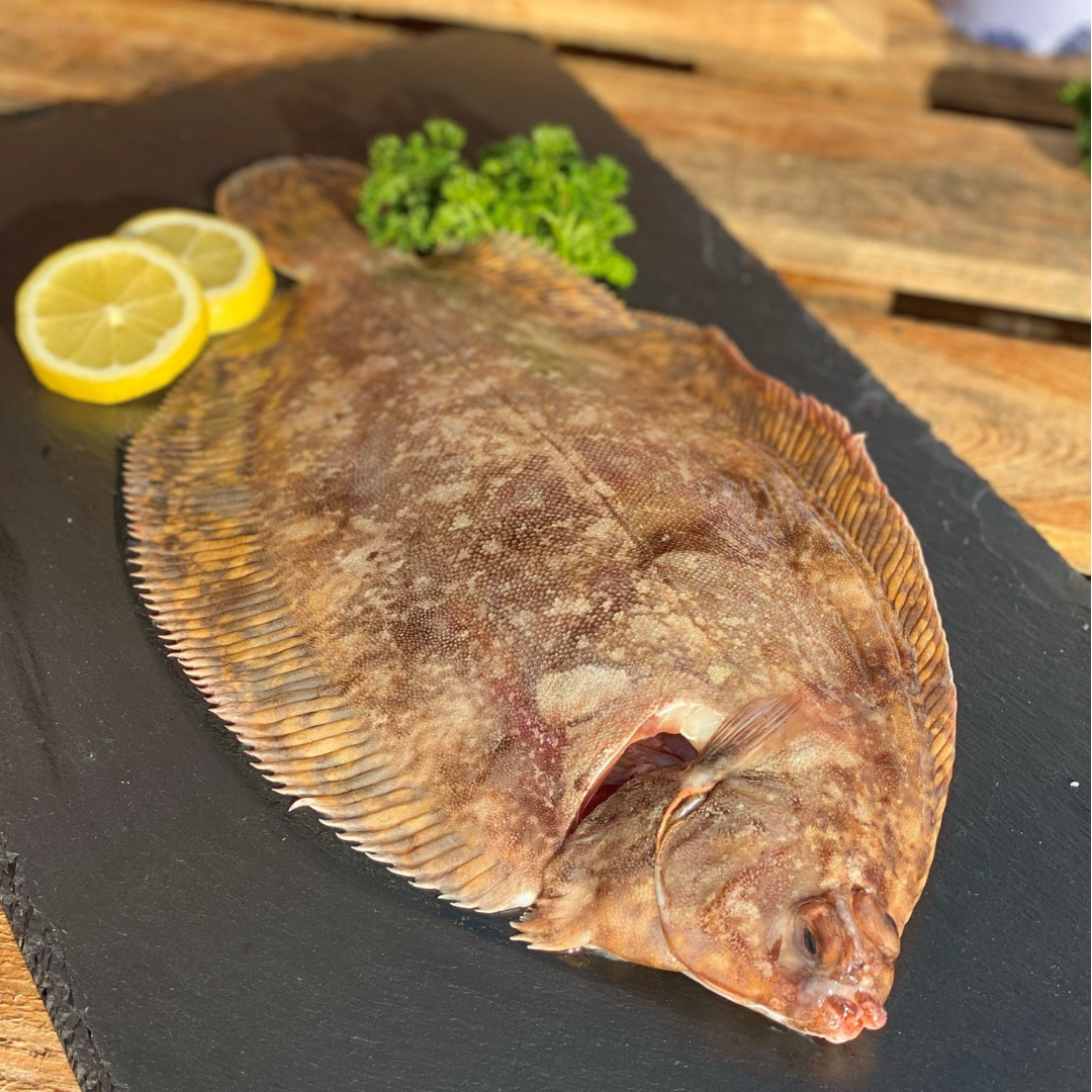 Fish, NZ Lemon Sole Whole Gut 10kg, average 250-260g, 45-47 fish per carton