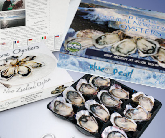 1 Dozen Oysters, SMALL SIZE Blue Pearl Tray, 60-75 mm