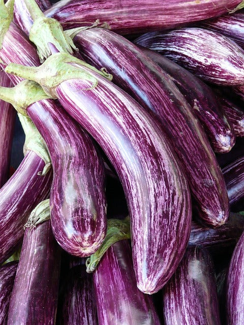 Eggplants, hydroponic, price per kg