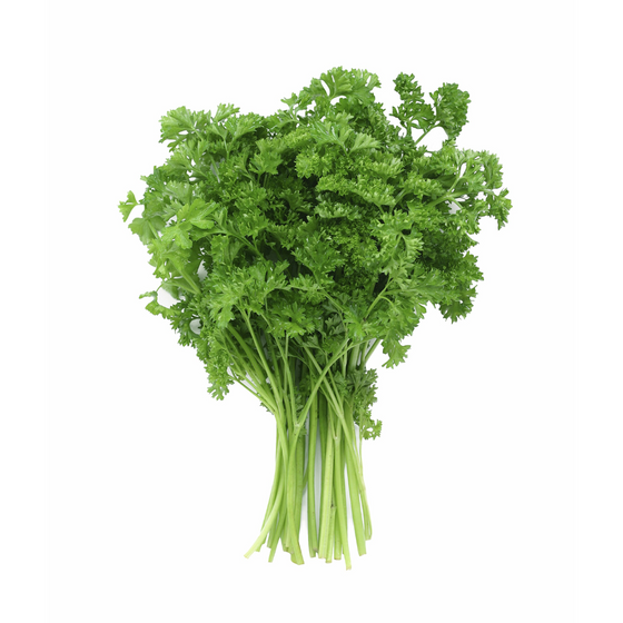 Local Farm Parsley Leaf