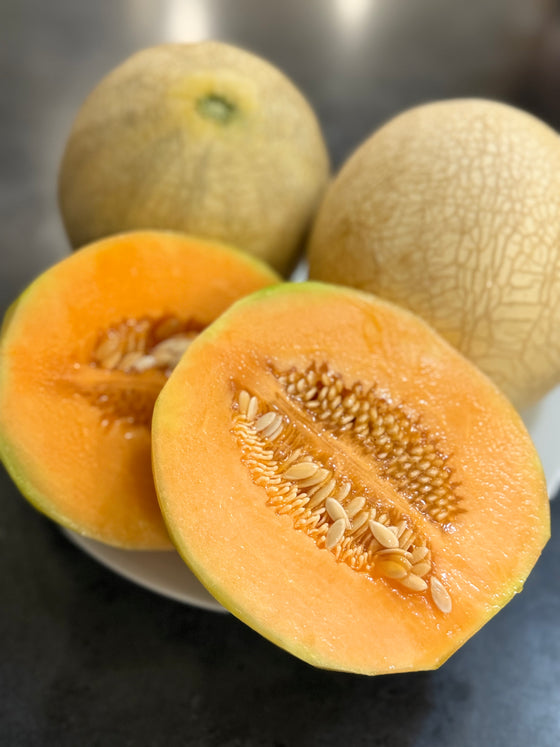 Honey Dew Melon, price per kg