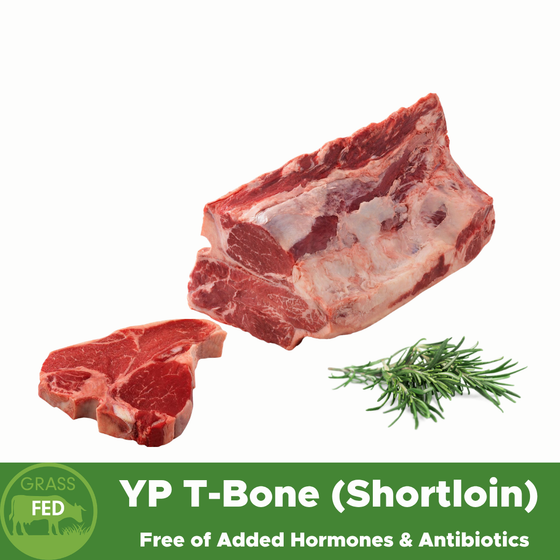 Frozen Bone In YP Beef T-Bone (Shortloin) 4kg+, price per kg