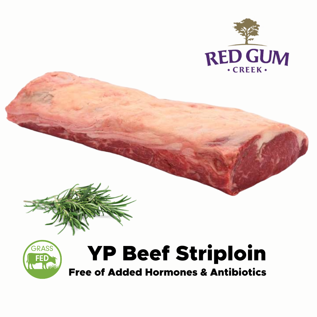 Red Gum, Frozen Boneless YP Beef Striploin 5kg+, price per kg