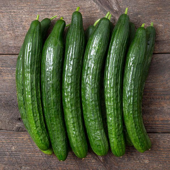 Japanese Cucumber, price per kg