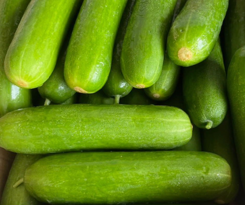 Local, Hydroponic Cucumber,  price per kg