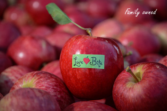 Apple Royal Gala 135 count, 18kg price per carton