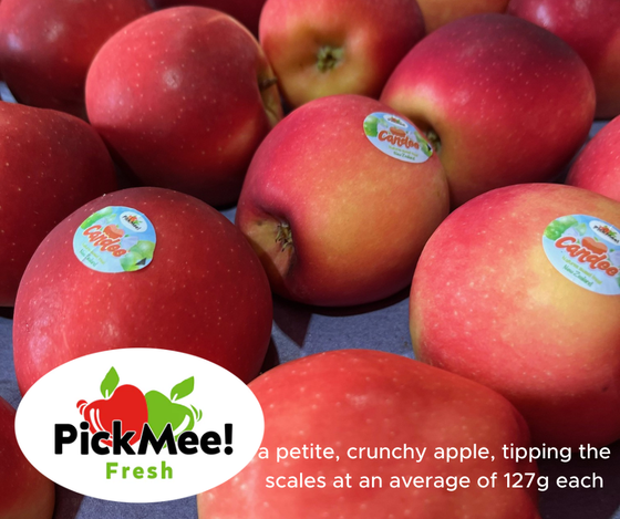 NZ Fresh Apple "PickMee"  17.5kg, small size, average 137-140 apples per carton