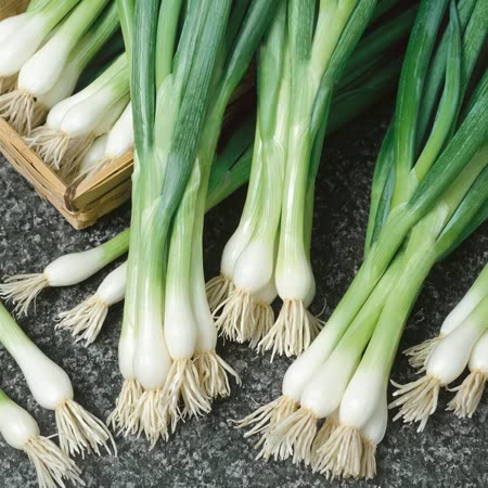 Local, Spring Onion, hydroponic