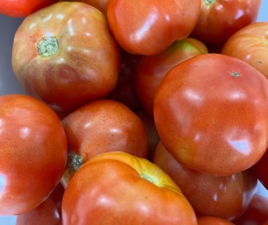 Local, Hydroponic Tomato, price per kg