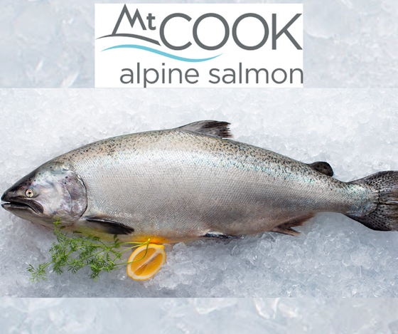 (2413) Whole NZ king Salmon Vac Pack Average Size 1.7- 2.2 kg each, Price per kg