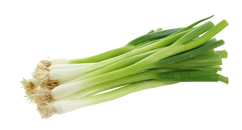 Local, Spring Onion, hydroponic